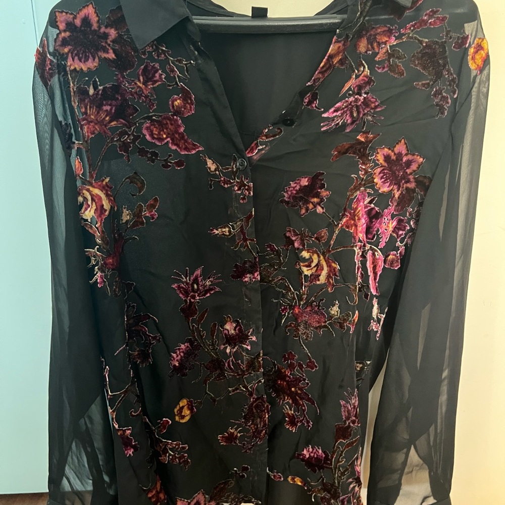 Roz & Ali Burnout Velvet Sheer Blouse Womens 1X Black
